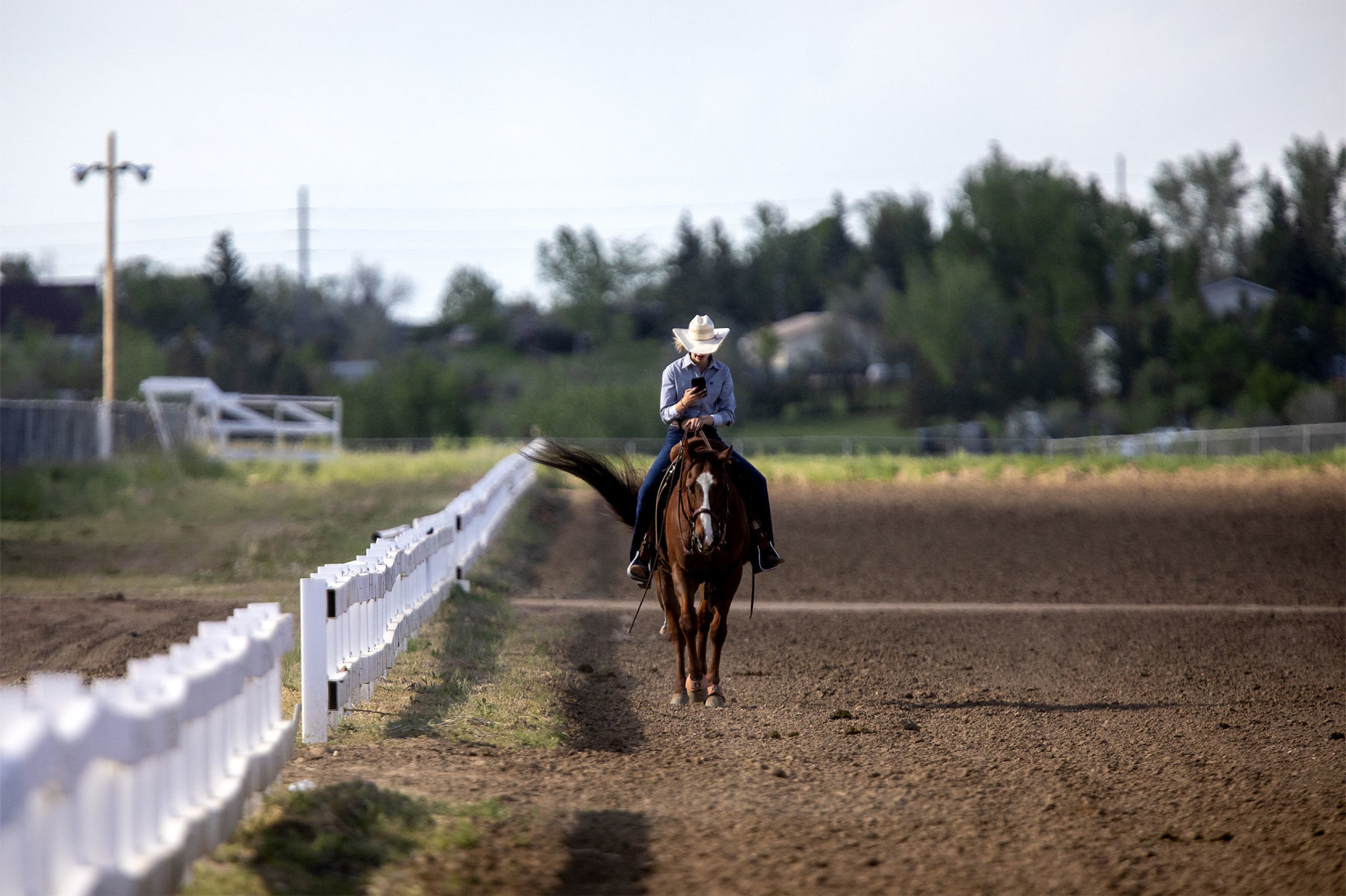 This thing called rodeo